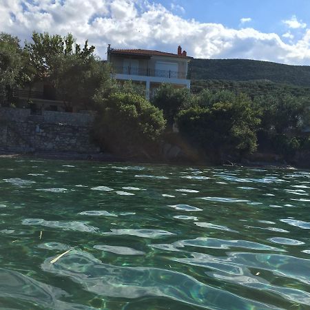 Villas Nies Sourpi エクステリア 写真